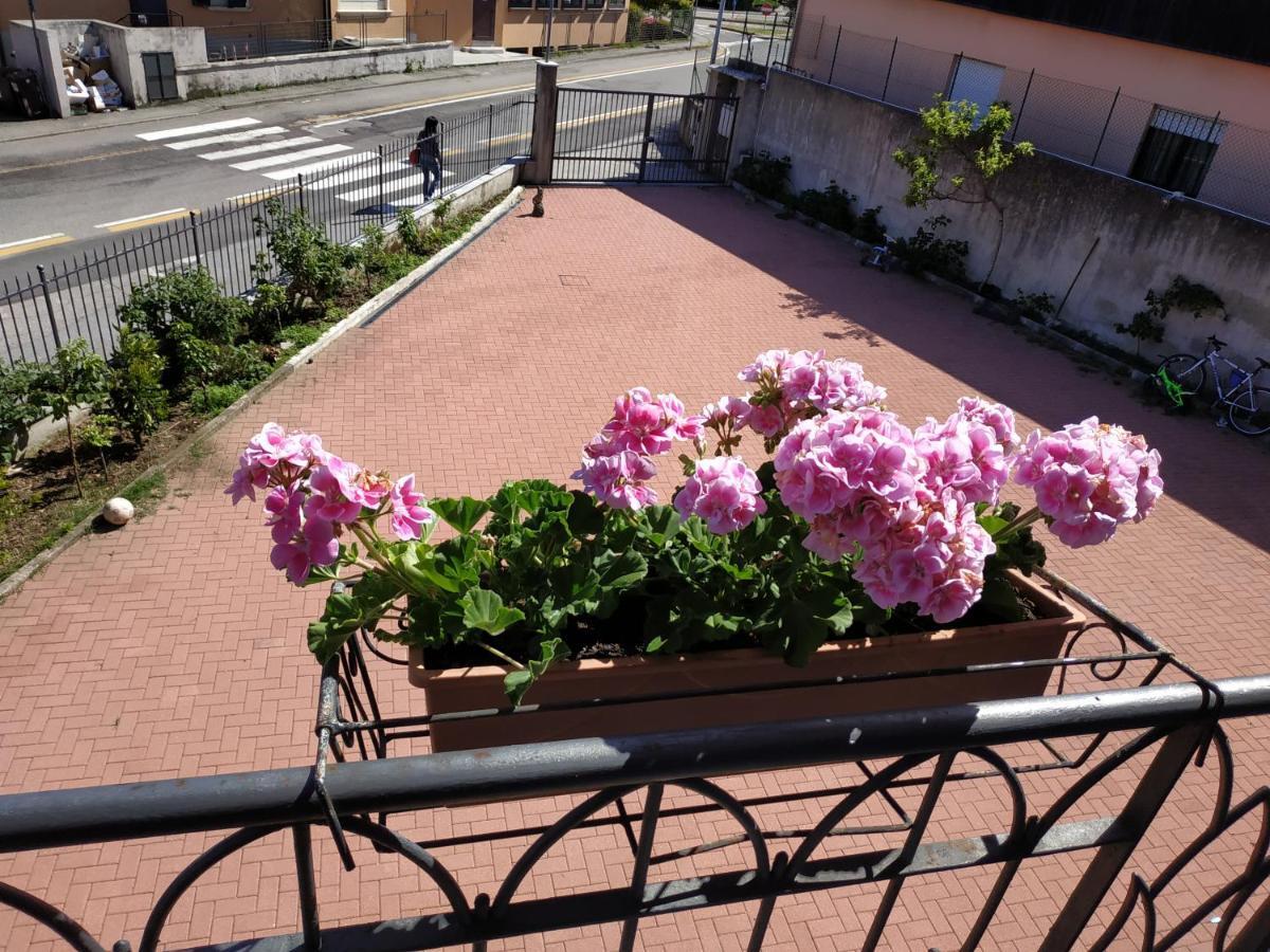 Casa Marina Verbania Exterior foto